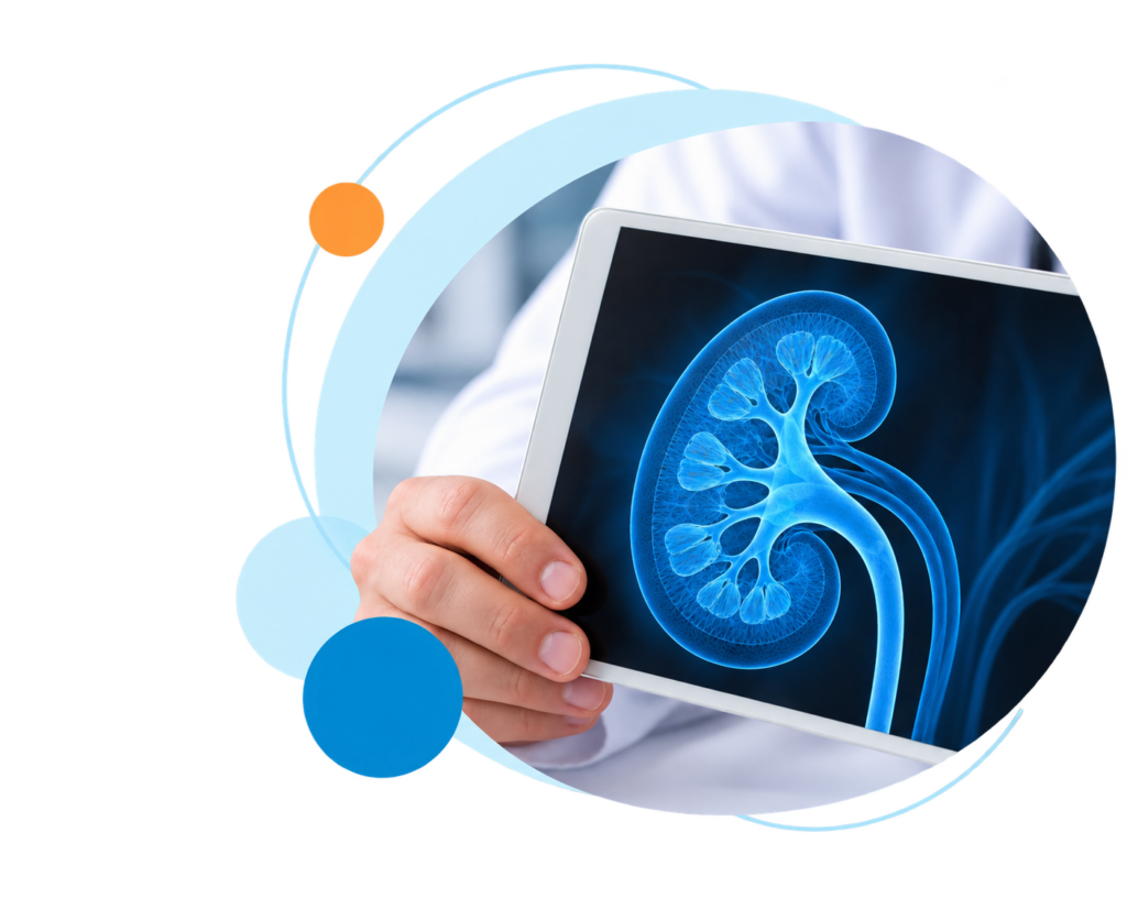 Médico con tableta y riñón digital